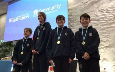 Quiz team